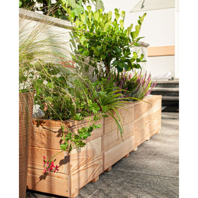 Larix Planter