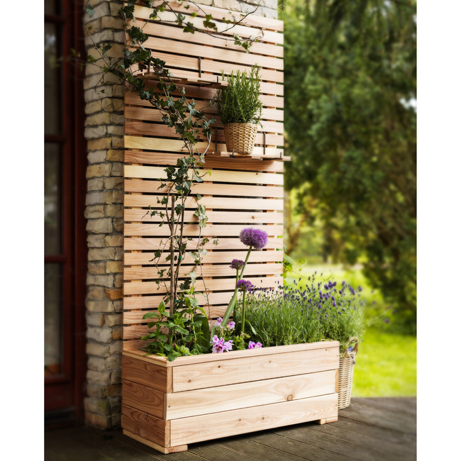 Piano Larix Planter