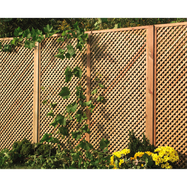 Privacy Diamond Trellis h183 x 60 cm