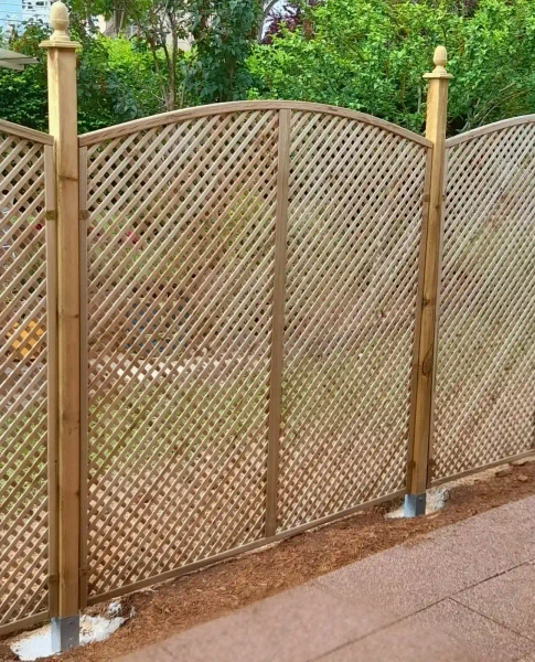 Enrejado Clementine con Arco Convexo