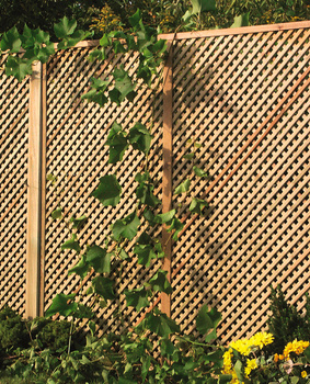 Treillis Clementine h183 x 60 cm