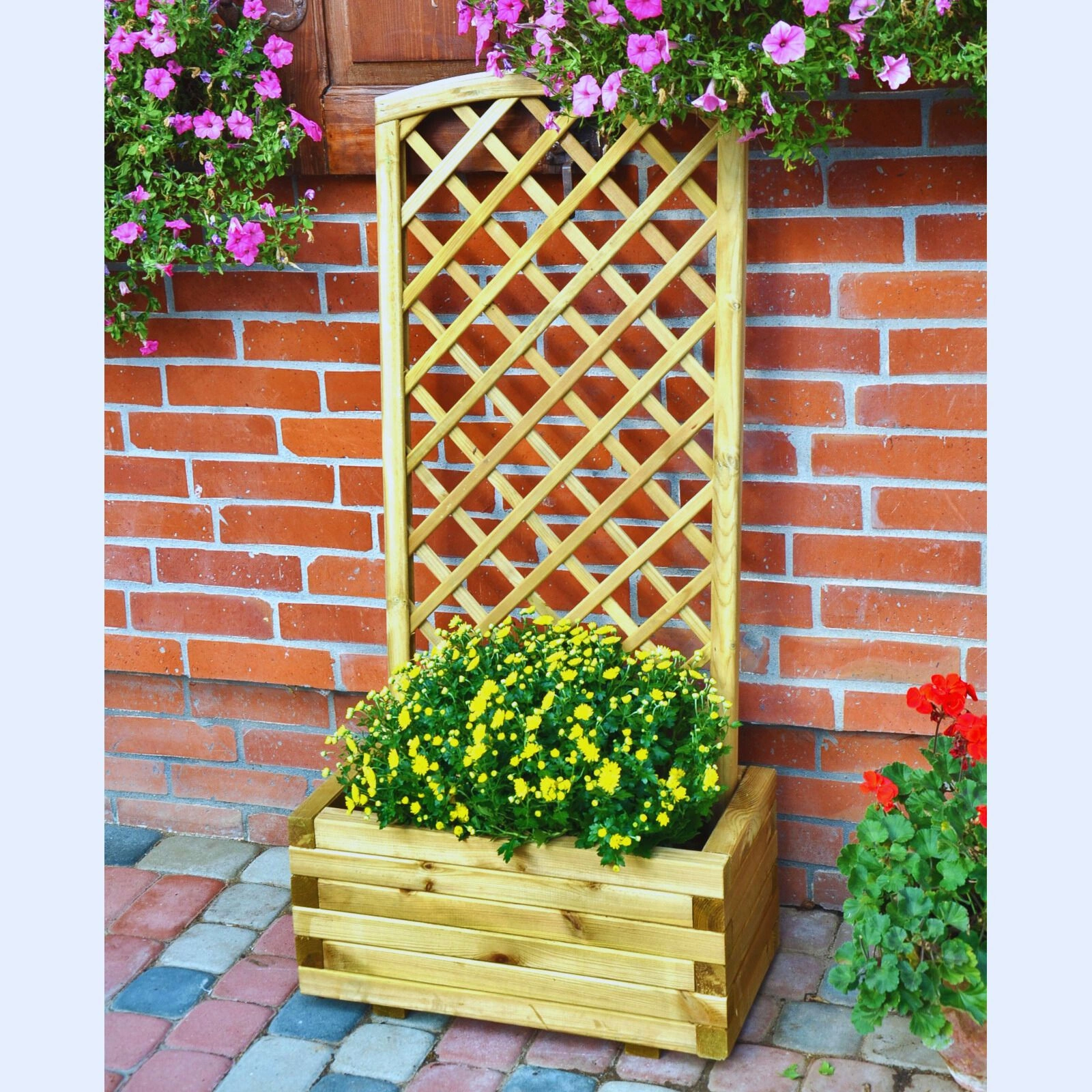 Jardinera con Celosia