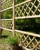 Trellis allemande 45x150 - KN4515 - Pergolas