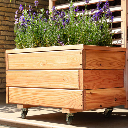 Modrzewiowy Planter Larix