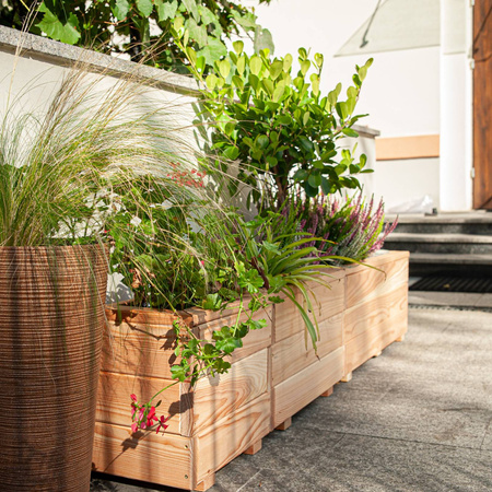 Modrzewiowy Planter Larix