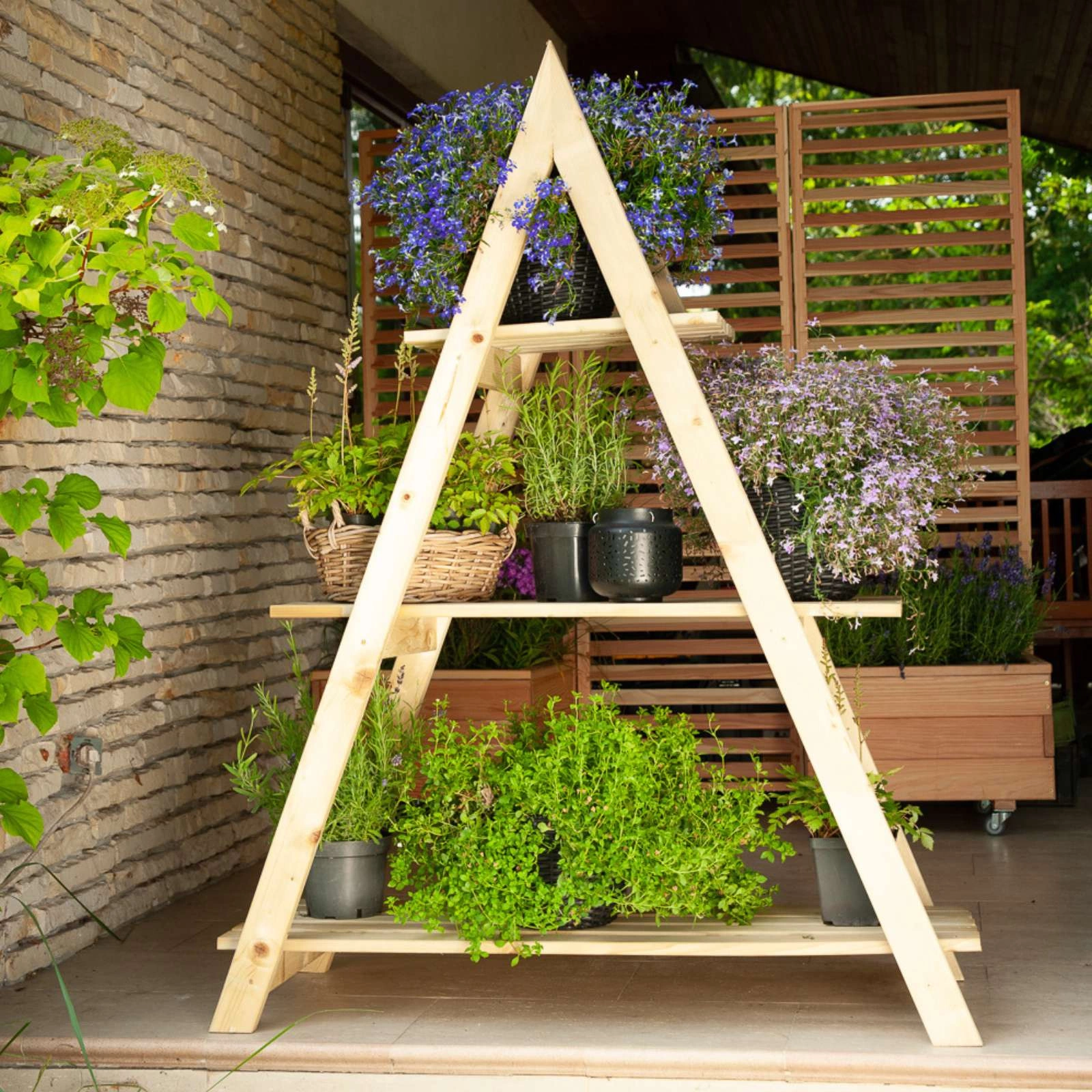 Hector Plant Stand