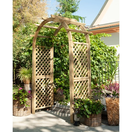 Pergola Rose Classic