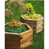 Royal Hexagonal Planter