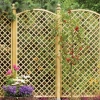 Rankgitter mit Bogen h183/193/183 x 90 cm