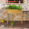 Home Garden Gemüsegarten Fichte und Kiefer h83x40x80cm