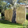 Privacy Diamond Trellis