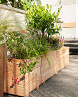 Modrzewiowy Planter Larix