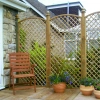 English Trellis with Convex Arch