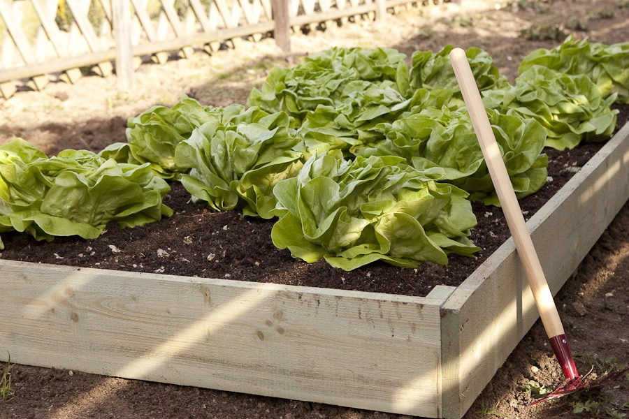 Inspección en bruto h15x90x180 tablero 2x15