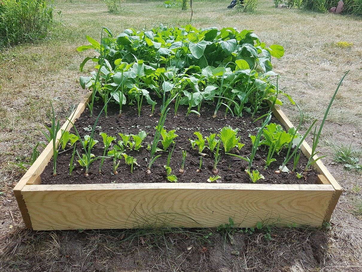 Inspección en bruto h15x90x180 tablero 2x15