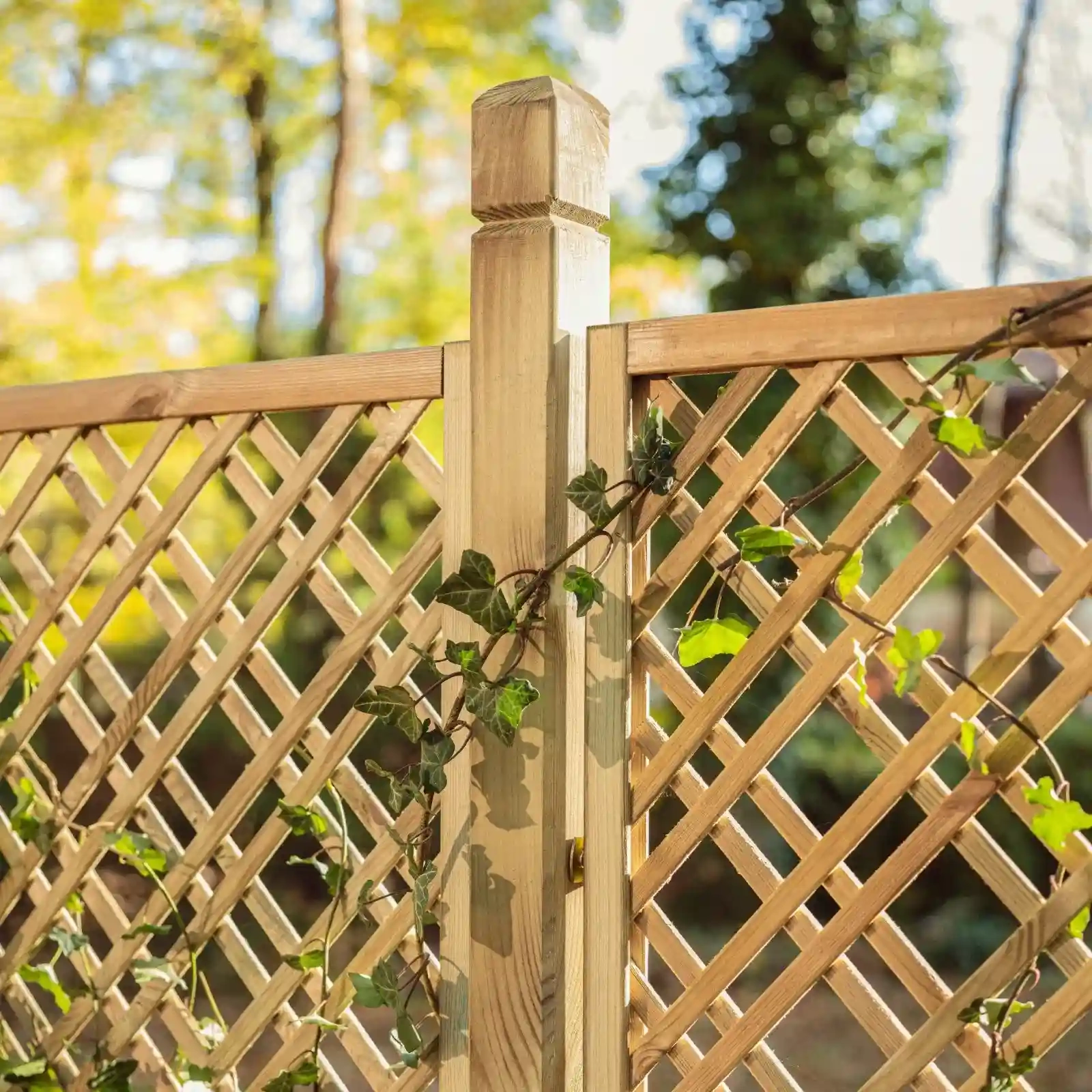 Traliccio Tartan 183 x 120 cm