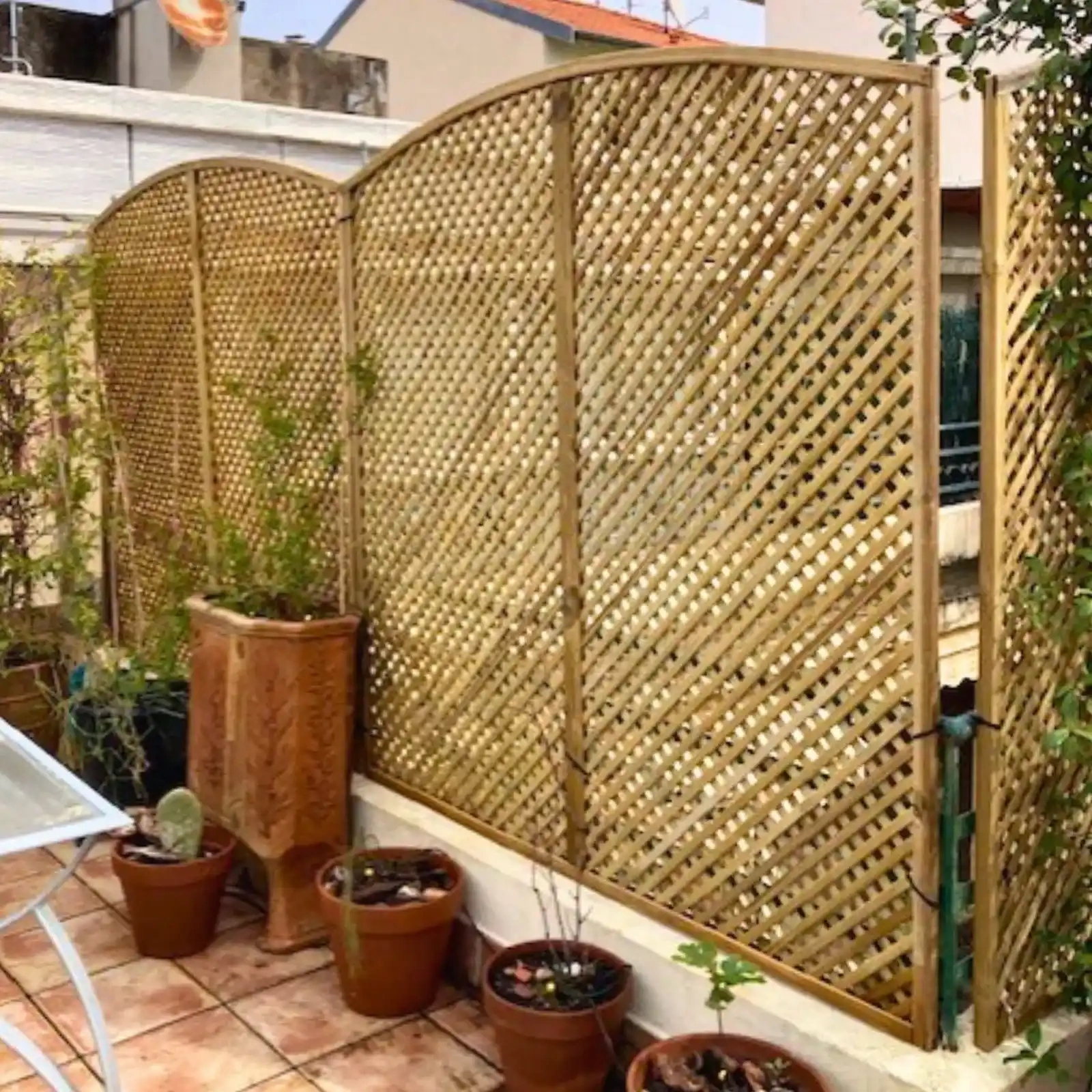 Traliccio Clementine ad arco h163/183/163 x 183 cm