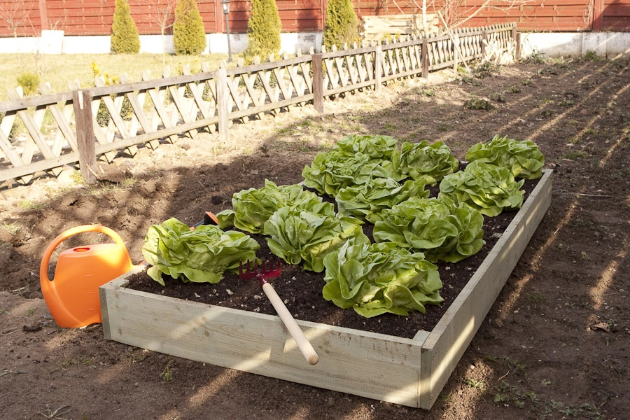 Inspección en bruto h15x90x180 tablero 2x15