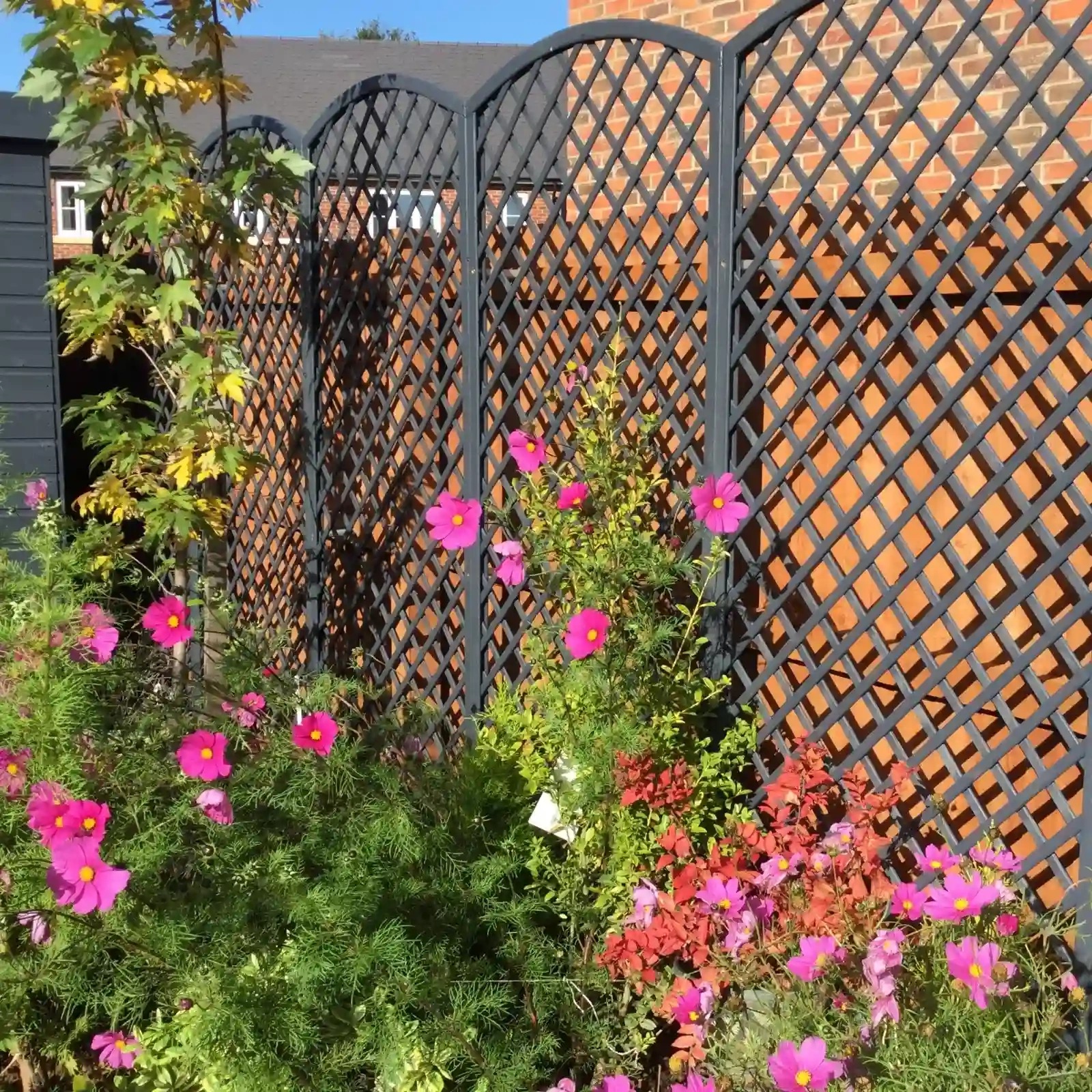 Rankgitter mit Bogen h163/183/163 x 183 cm