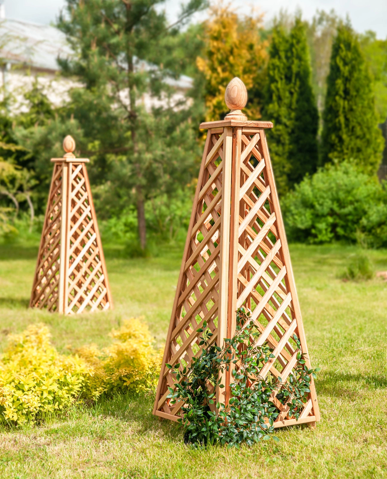 Obélisque de mélèze