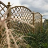 English Trellis with Convex Arch