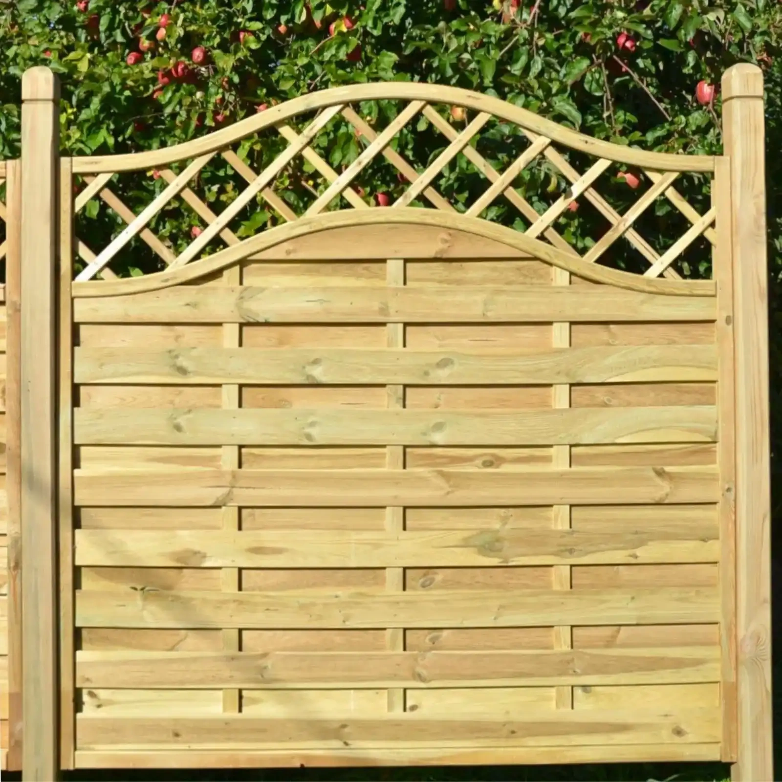 Valla Fantasia Omega