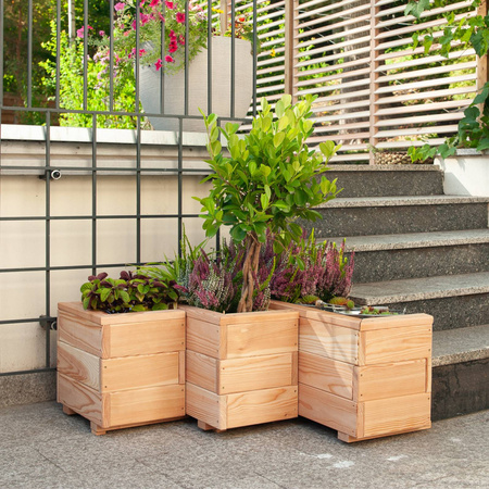 Modrzewiowy Planter Larix