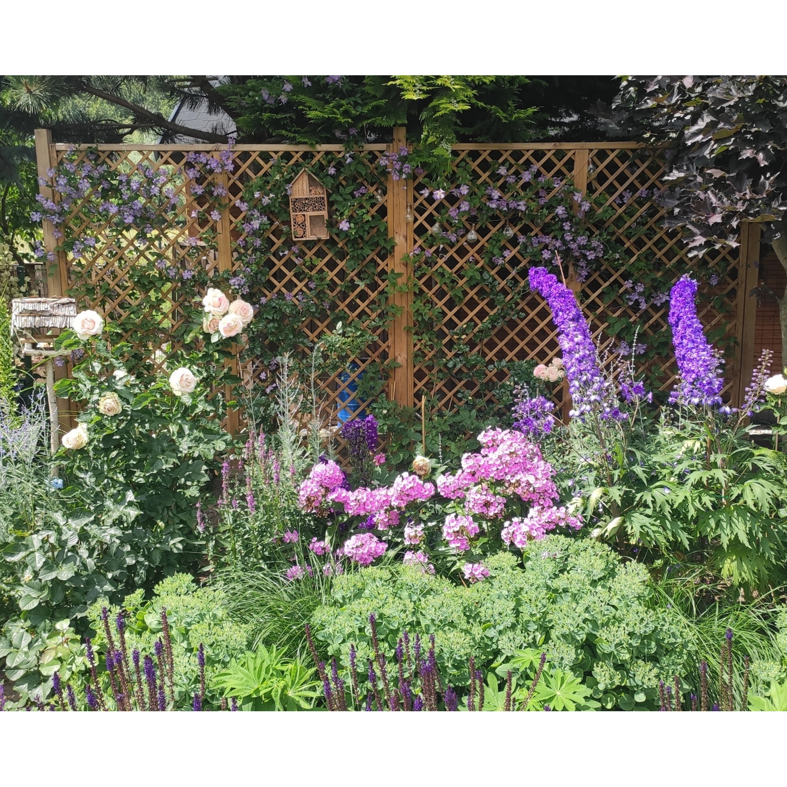 Treillis Classique h183 x 45 cm