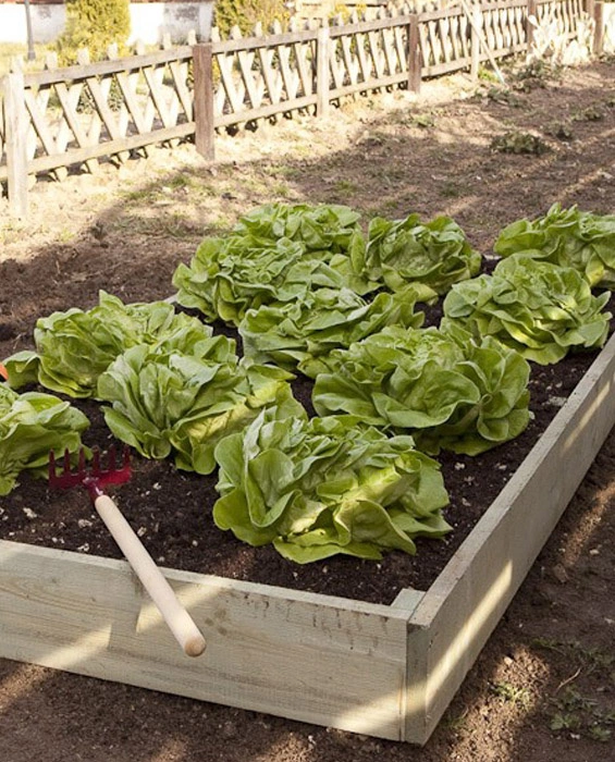 Inspección en bruto h15x90x180 tablero 2x15