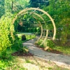 Moongate Garden Arch Triple