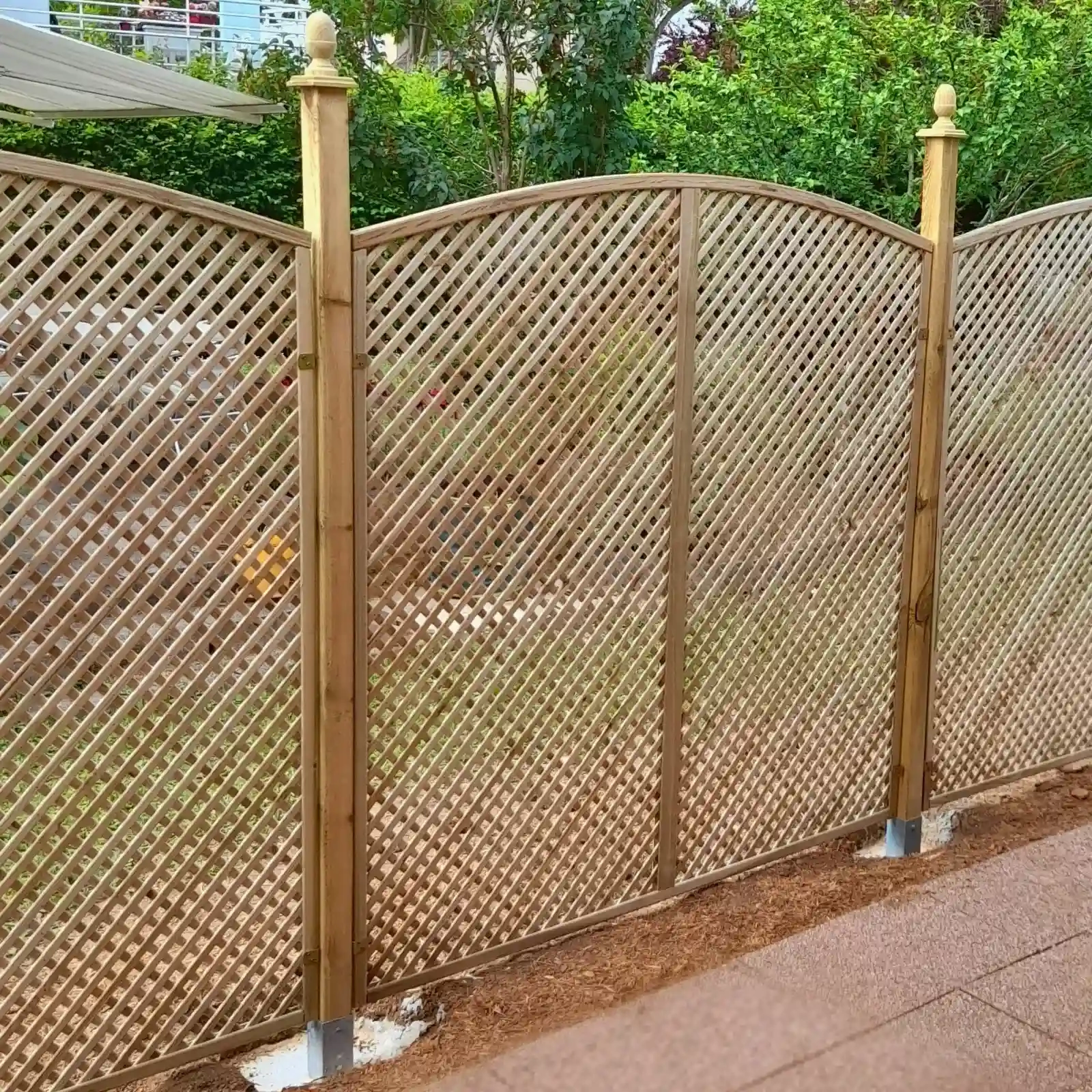 Enrejado Clementine con Arco Convexo