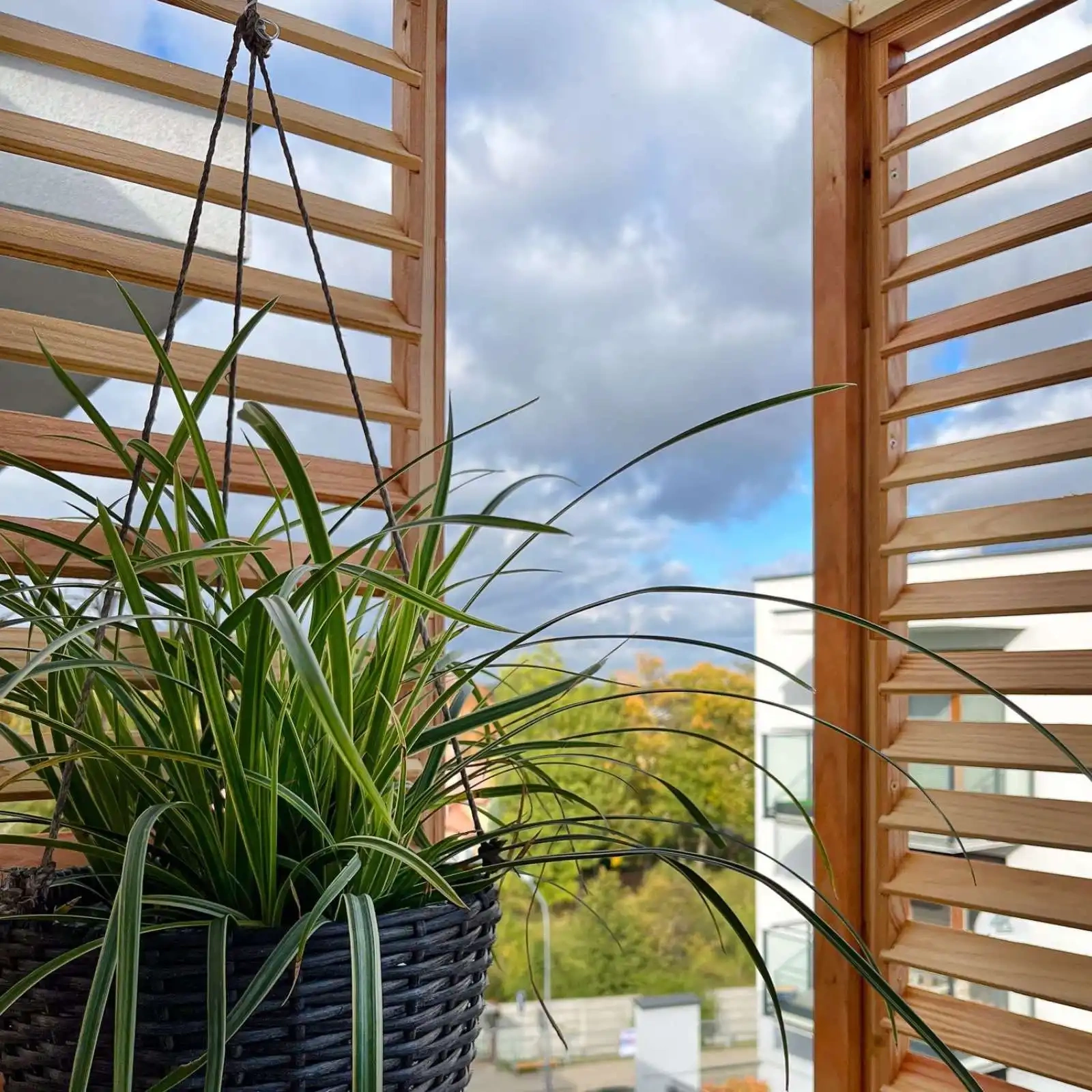 Fence Post - Lux Diamond Top