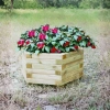 Royal Hexagonal Planter