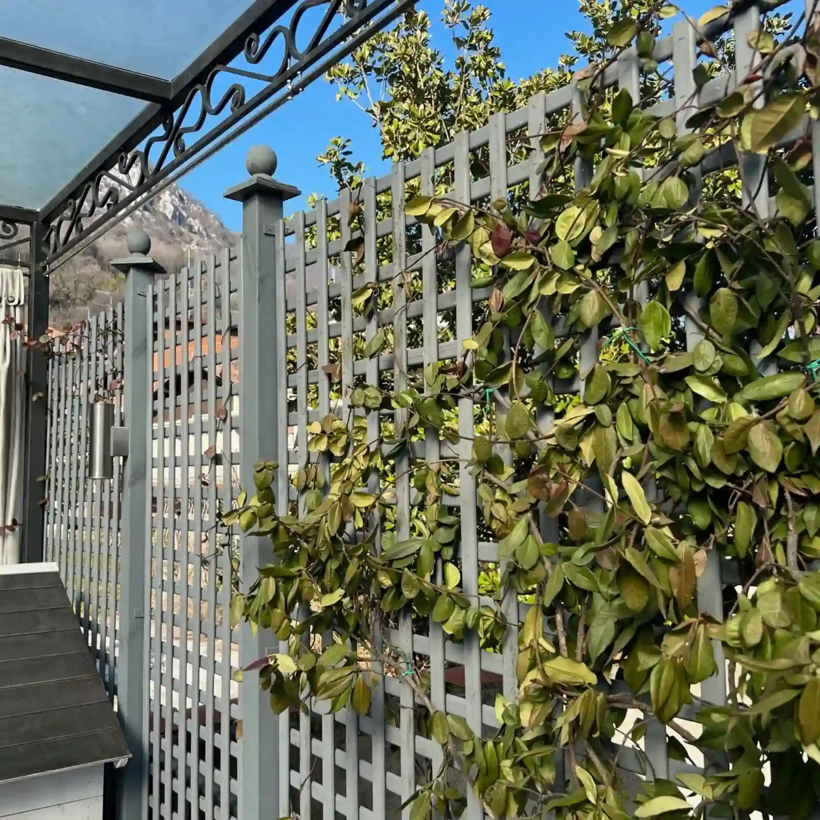 Treillis Élégance sans cadre