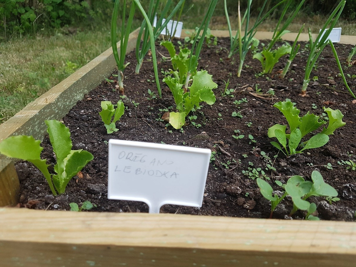 Inspección en bruto h15x90x180 tablero 2x15