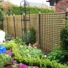 Elegance Trellis