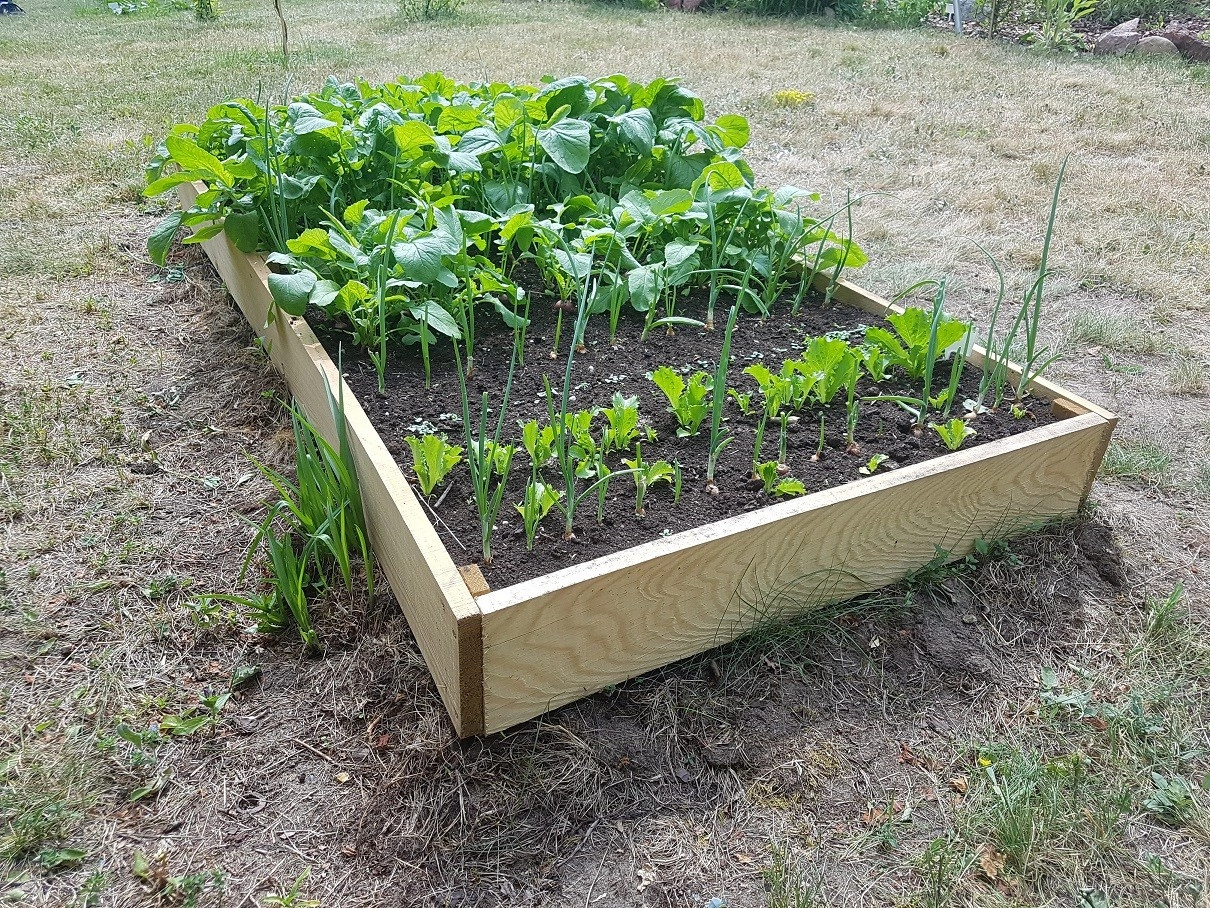 Inspección en bruto h15x90x180 tablero 2x15