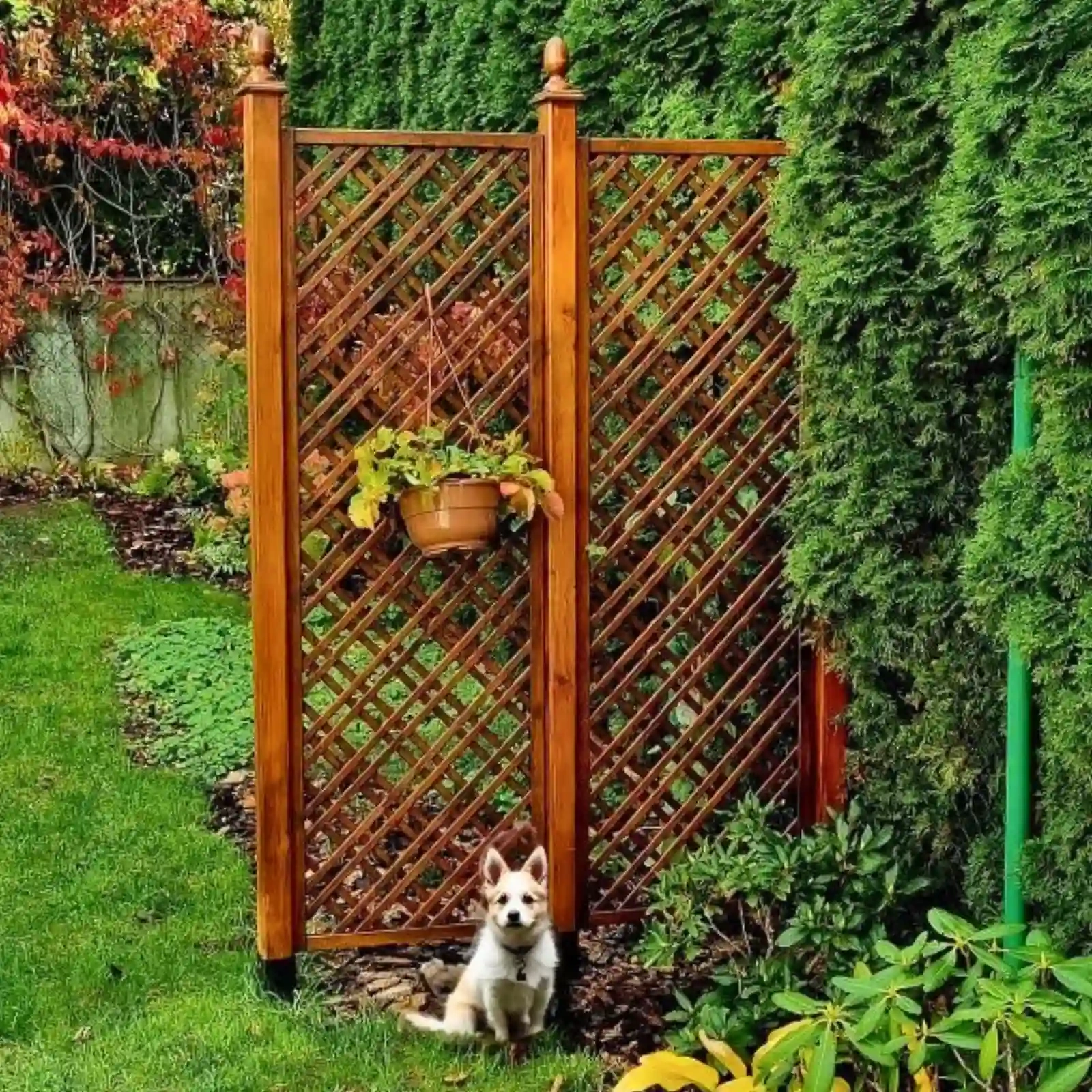 Schotttischgitter 183 x 120 cm