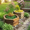 Royal Hexagonal Planter