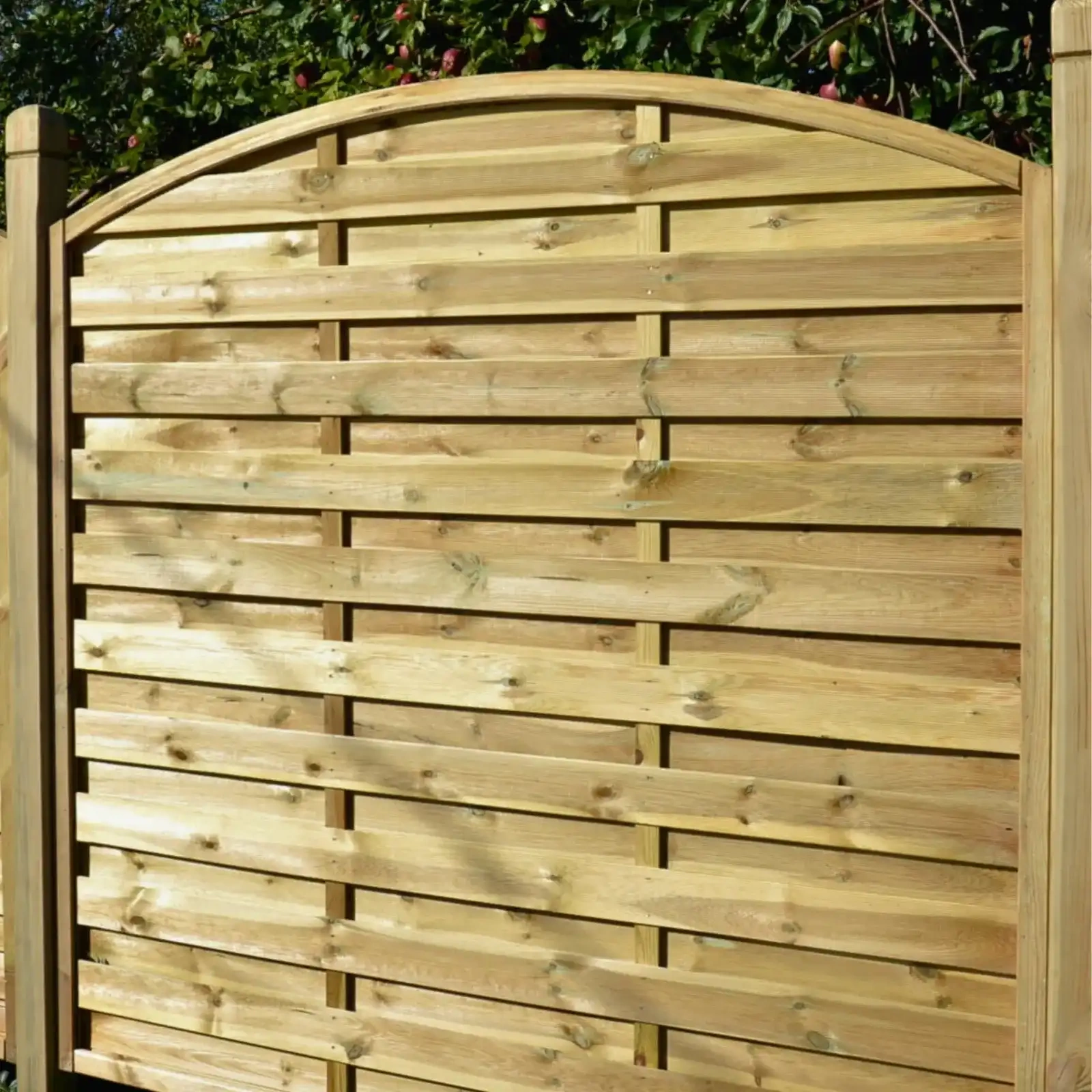 Malvern Gate h160/180/160 x 100 cm