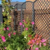 English Trellis with Convex Arch