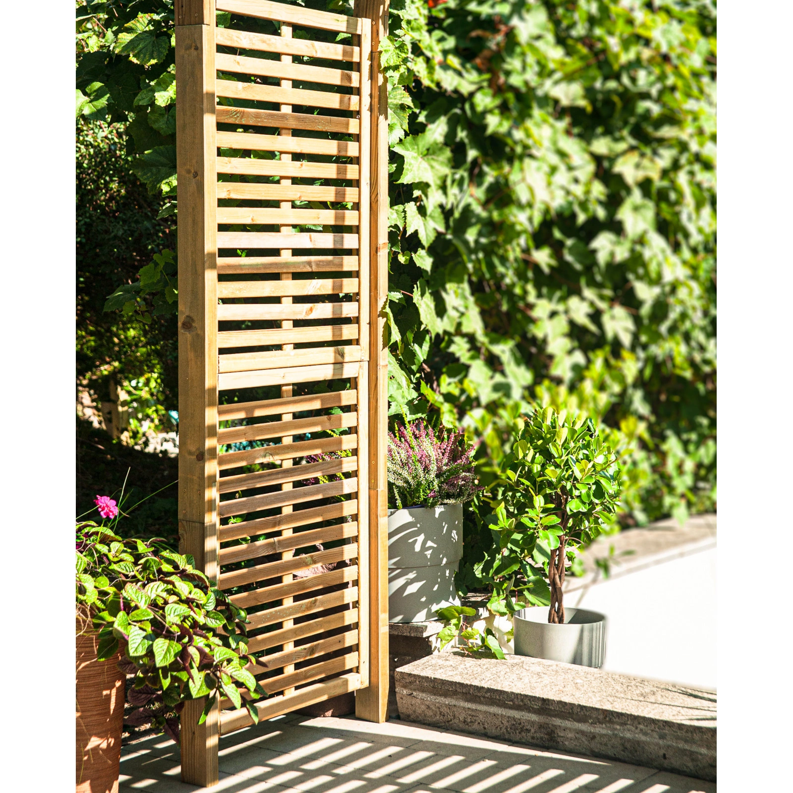 Rose Garden Arch Contemporary