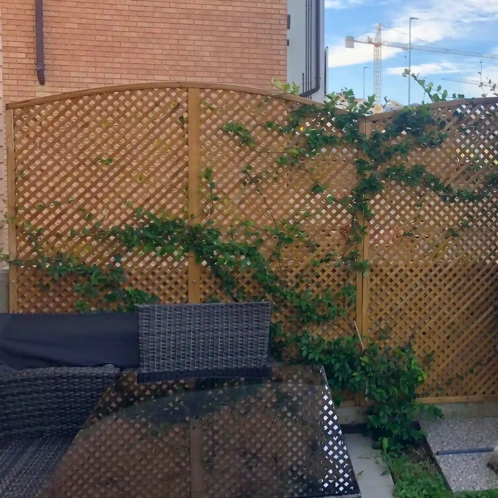 Enrejado Clementine con Arco Convexo