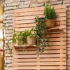 Piano Larix Planter Shelf on Hooks