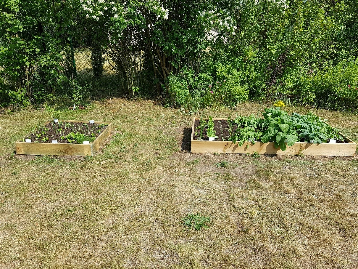 Inspección en bruto h15x90x180 tablero 2x15