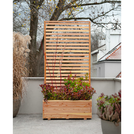 Modrzewiowy Planter Larix