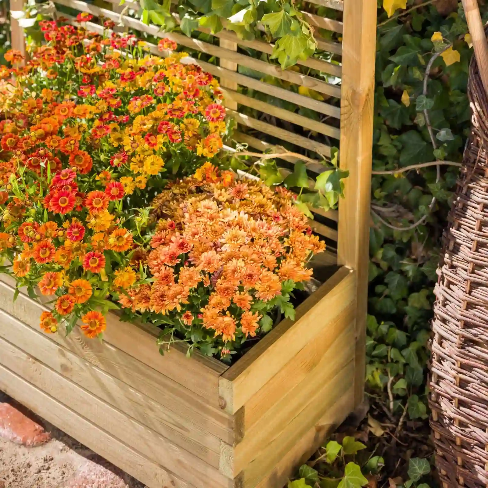 Oslo Planter with Trellis