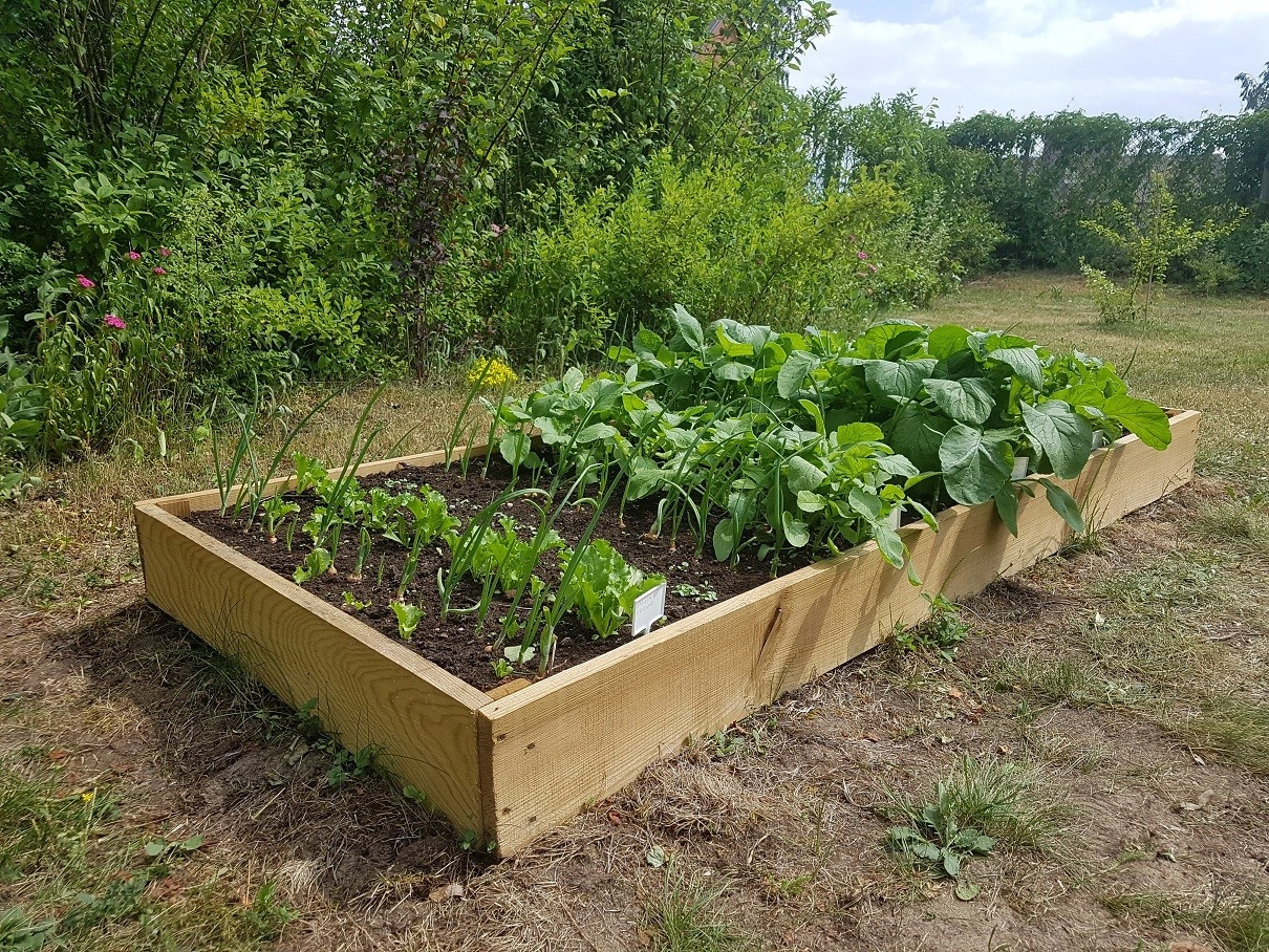 Inspección en bruto h15x90x180 tablero 2x15