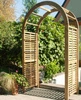 Rosa Pergola Modern