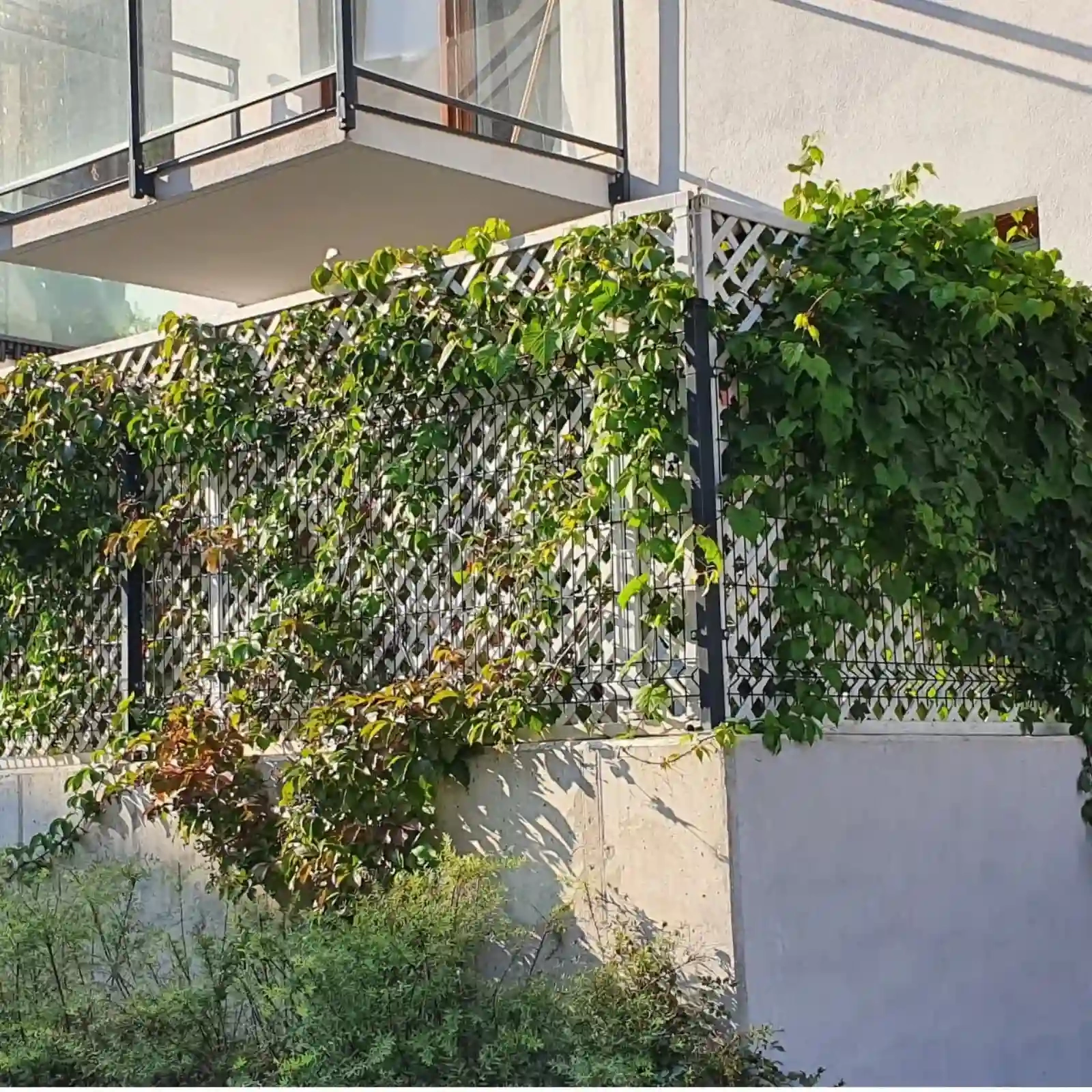 Premier Trellis